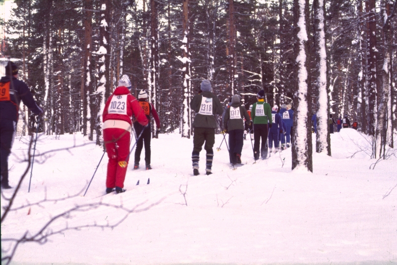 Klikkaamalla seuraava kuva